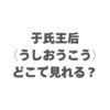 于氏王后はどこで見れる？配信サイトを比較！全話お得に視聴する方法